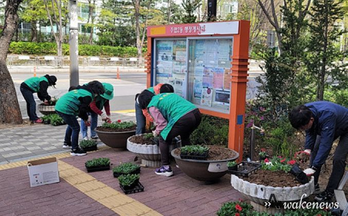 고양특례시 주엽2동 새봄맞이 초화식재로 봄 향기 물씬