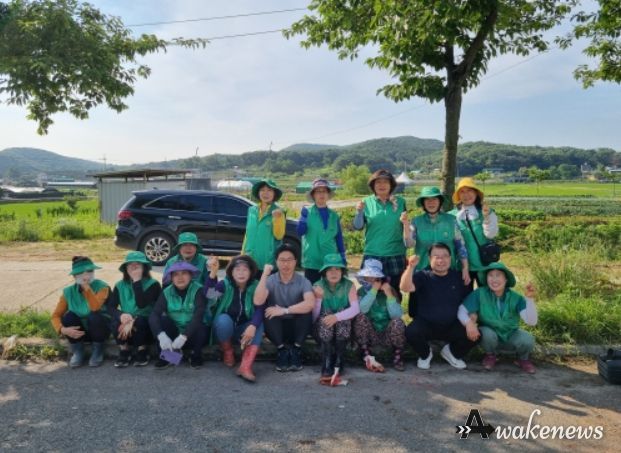 대곶면 새마을부녀회 여름꽃 식재