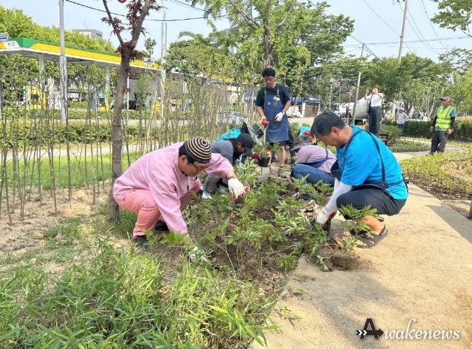 새빛수원손바닥정원단이 약용식물을 심고 있다.