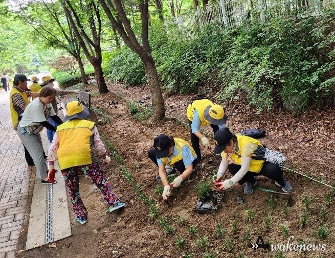 파주시 운정1동 가람마을 꽃길 조성…맥문동 3,000본 식재