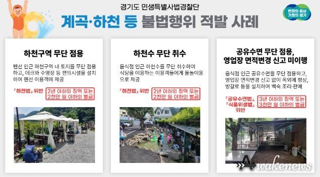 계곡·하천 등 휴양지 내 불법행위 적발사례