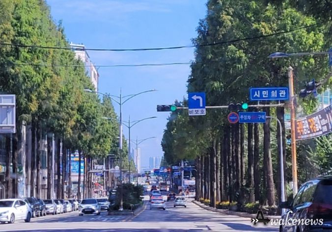가로수 생육·보행 환경 정비