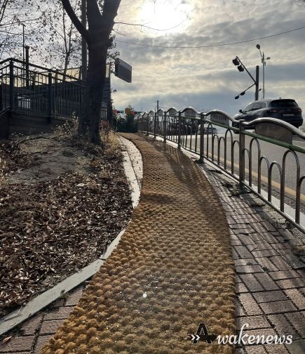 광명시 광명6동 행정복지센터는 폭설이 자주 발생하는 겨울철을 맞아 주민이 걷기 편하고 보행에 안전한 환경을 조성하기 위해 5일 관내 경사로 3곳에 미끄럼 방지 매트 설치를 완료했다.