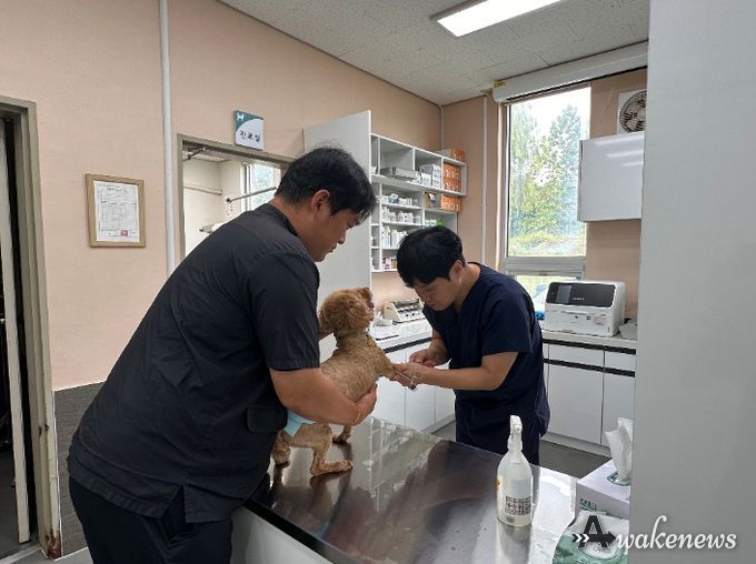 5일부터 모든 동물병원 대상 진료비용 게시 의무화 시행