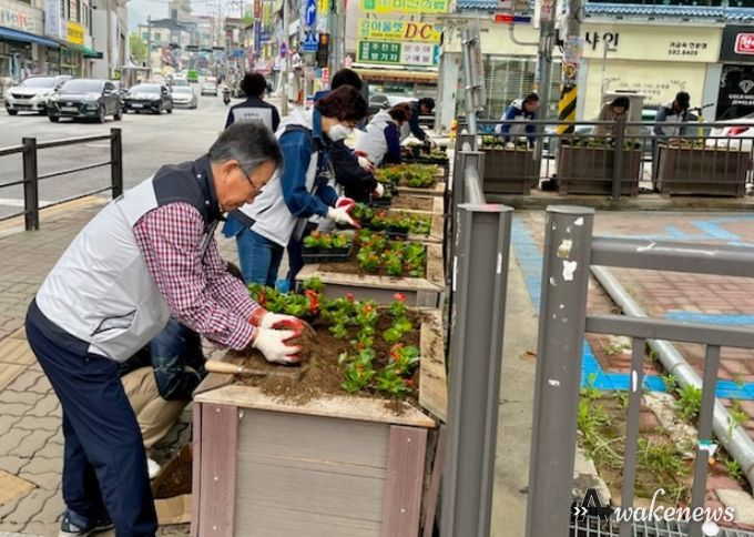 남양주시 화도읍이장협의회, 마석광장 힐링 꽃길 봄맞이 새 단장