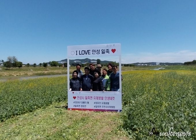 일죽면주민자치위원회 청미천 유채꽃밭 포토존 조성