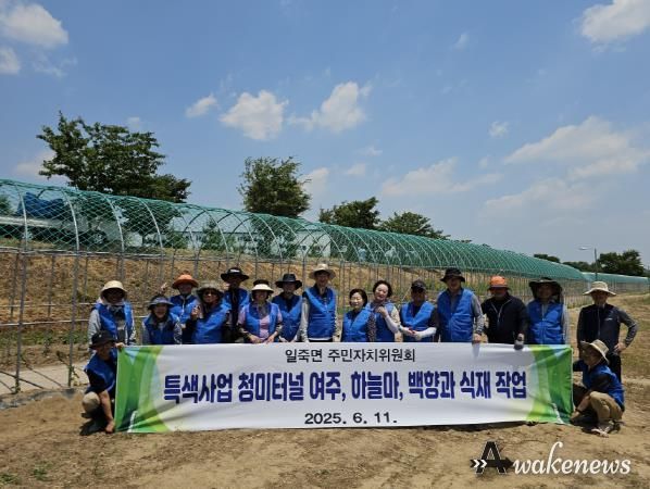 안성시 일죽면 주민자치위원회, 청미천 일원에 특색작물 식재 및 백일홍 꽃밭 조성