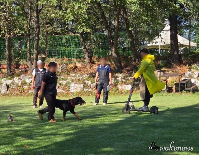 기질평가 사진