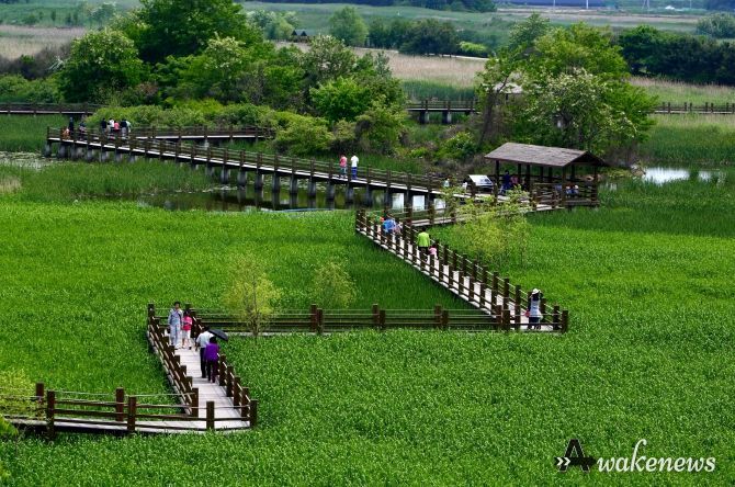 안산7경 안산갈대습지