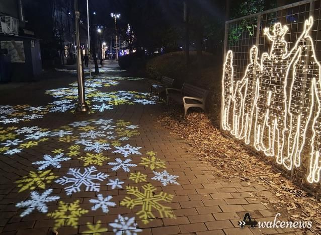 성남시 복정 어울림 빛축제 눈꽃 거리 조명 산책로