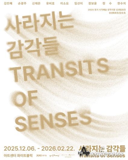 사라지는 감각들 포스터