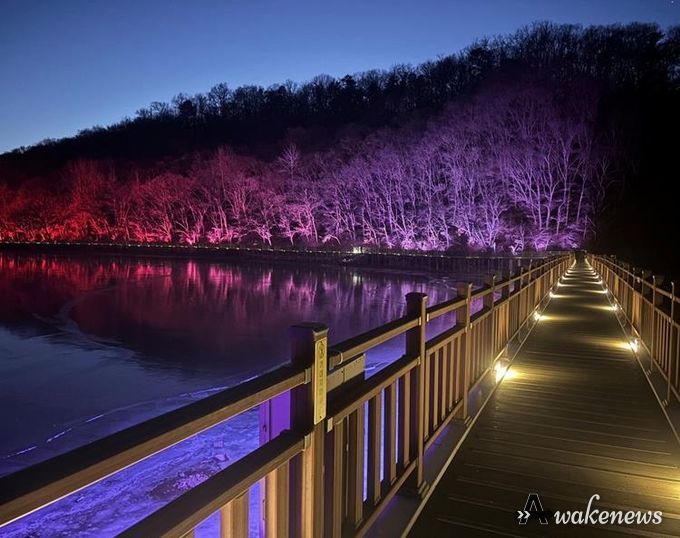 빛으로 새롭게 태어난 파주 공릉호수, 야간 명소로 거듭나다!