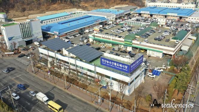 농수산물도매시장 전경.
