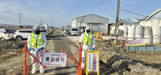 구제역 발생 농가 현장