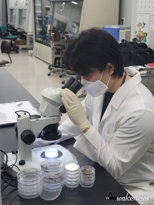 경기도, 일본뇌염·뎅기열 매개모기 감시사업 추진