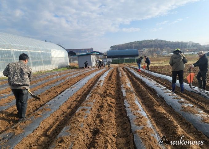 고양시 고봉동 주민자치회, ‘사랑의 감자 모종 심기’ 행사 개최