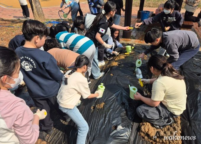 하남 하남풍산초, 흙에서 배우는 생명 교육…감자 심기 체험으로 교과 학습 확장