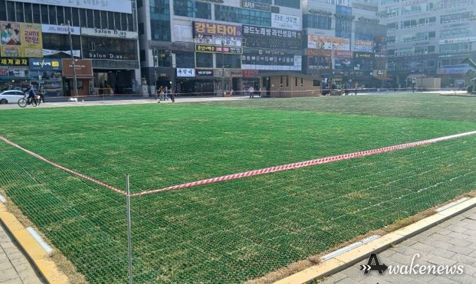 문화의 거리 잔디 광장