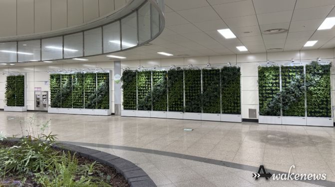 남양주시, 별내별가람역 실내정원 정비…공기정화 식물 900여 개 식재